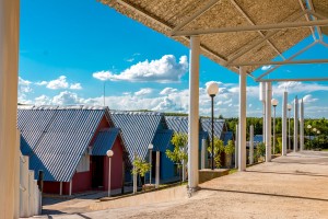 IMG_0526